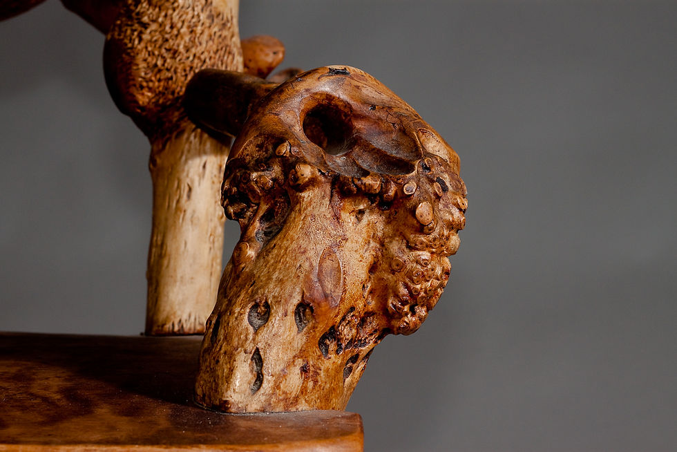 Thumbnail: Matti Savijärvi, Finnish 1920's unique root chair