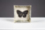 Rut Bryk, signed 1950s butterfly stone ware box wall relief, Arabia Finland