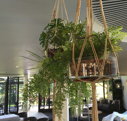 Hanging Artificial Plants