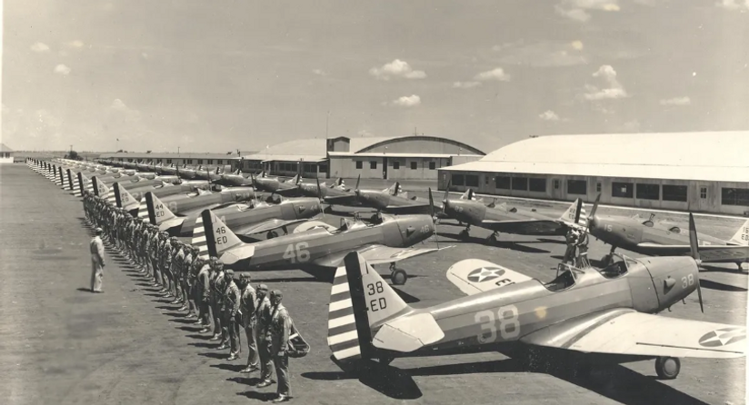 MustangFieldLined.PNG