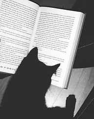 kinky-cat.com