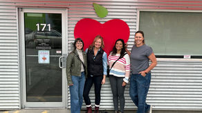 World Kindness Day at Amplify Consulting