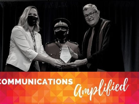 The Nominators, The Mentor + The Capacity Builder