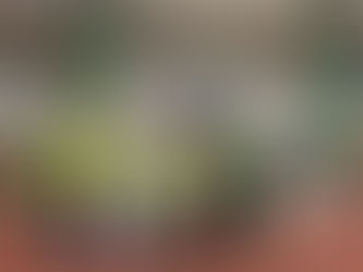 Команда ЮПИД «Светофор» Морозовского района провели  профилактическое мероприятие "Мы знаем законы своей страны"