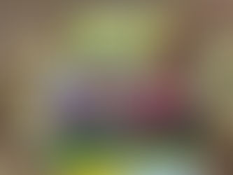 Воспитанники МБДОУ 56 г. Шахты Ростовской области в рамках Всероссийской недели безопасности дорожного движения провели  праздничное мероприятие "Уроки тётушки Совы"