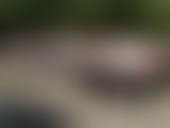 ЮИДовцы МБОУ "Лицей №6" г.Шахты приняли участие в общероссийском движении "Бессмертный полк", являющимся значимым событием, символизирующим память о ветеранах и героях Великой Отечественной войны. 🔥