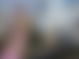 В городе Ростове на Дону реализуется всероссийский проект "Школа"Безопасность в Движении" при поддердке "Движение Первых" и всероссийской организации "Юные инспекторы движения"