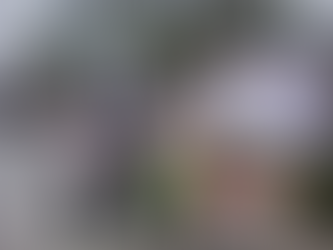 Проведено инициативное профилактические мероприятие "Папа нас защищает, ПДД он соблюдает"