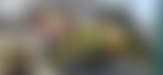 Областная широкомасштабная акция "Весна. Дети. Безопасность» г. Шахты Ростовской области