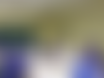 Всероссийское чаепитие ЮИД! 