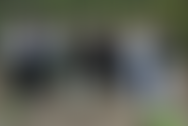 В нашей школе прошел День древонасаждения: ЮИД и Госавтоинспекция продолжают зеленую традицию