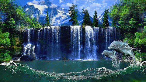 صورة معبرة.gif