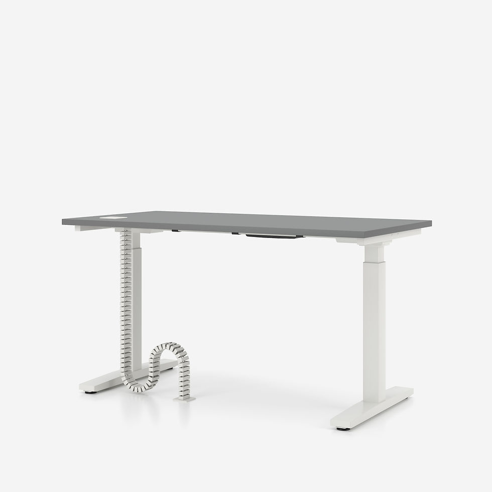 Thumbnail: eUP2 Desk
