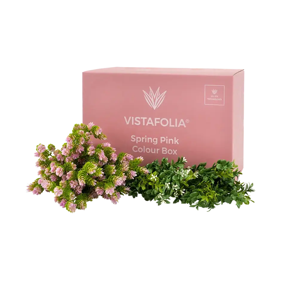 Spring Pink Colour Box
