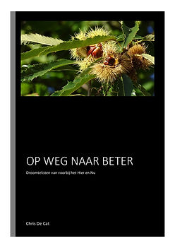 Op weg naar beter_page-0001.jpg