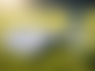 Quand le sport adapte ses règles au climat, les pauses fraîcheur nécessaires ?