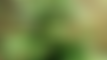 Descobertas Surpreendentes Sobre Maconha (THC) e HIV que Desafiam o Senso Comum