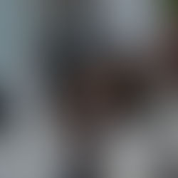 A Vintage Vision: Revisiting My 2023 Melbourne Cup Design