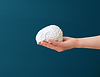 Toy Brain_BlueGray.png