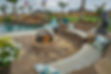 League_City_QUK9611.jpg