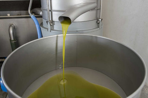 spremitura-olive-sicilia-1024x683.jpg
