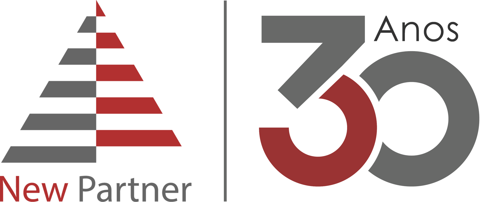 New Partner Recursos Humanos Ltda