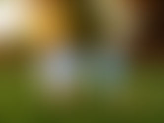 Eugene family photographer, Springfield family photographer, Oregon family photography, candid family photos, playful family photography, outdoor family portraits, lifestyle family photos, family photo ideas Eugene OR, authentic family moments, children photography Oregon