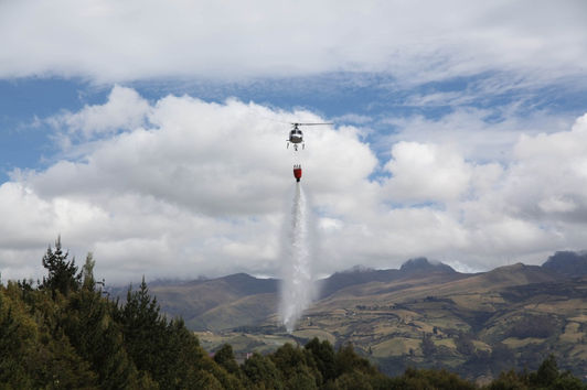 A CUIDAR LOS BOSQUES EN ESTE VERANO