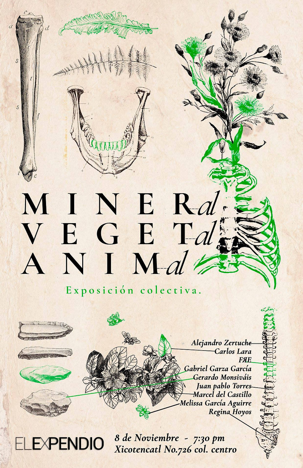 mineral, vegetal, animal