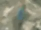 0 1 reno.webp