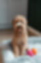 Renzo 1st stay-3.jpeg