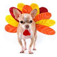 Are you planning on going away for the holidays?