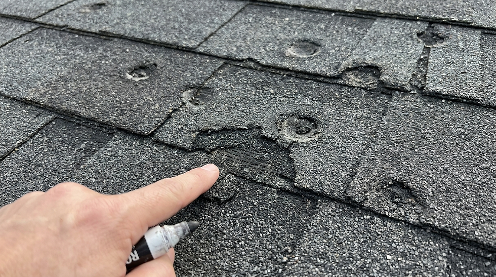 Hail damage on asphalt roof shingles