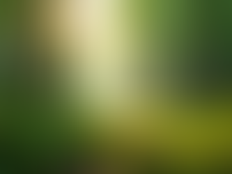 Sustainable Career Success Through Stewardship Philosophy