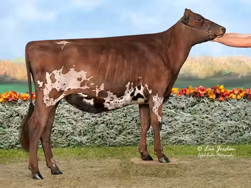 Bricker Farms R Cadillac-ET