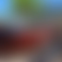 La production traditionnelle de clairin à Pignon : un patrimoine économique et culturel en danger