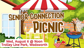 Senior Connection Picnic.png