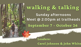 Walking & Talking slide (1920 x 1080 px) (1).png