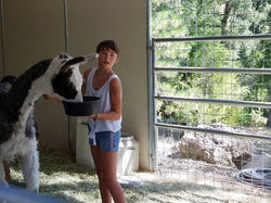 Taking Care of the Non-Humans