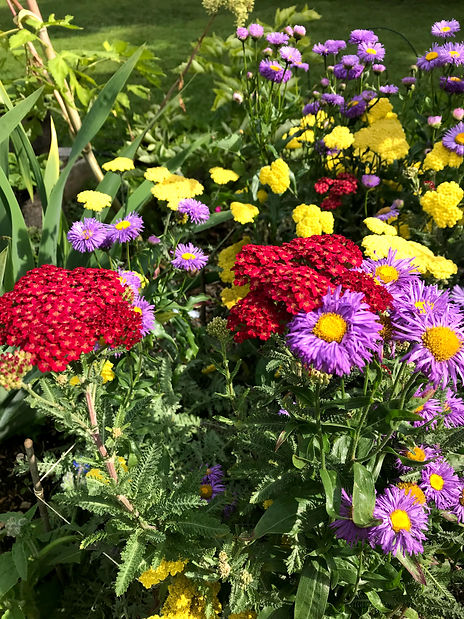 IMG_5095.jpeg