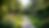 Wide angle view of a tranquil garden