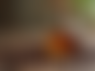 Coffee Oil or Coffee Grounds Which is Better for Your Body Care Routine?