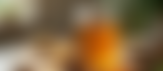 How to Use Honey as a Natural Sealant for Protecting Hair from Sun Damage