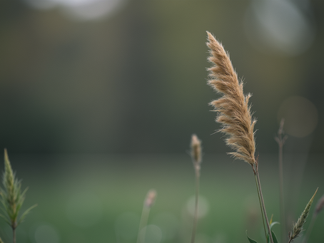 Face Products on Body Can They Be Used Safely and Effectively