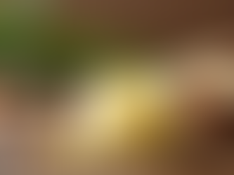 Shea Butter vs Cocoa Butter Which One is Best for Your Skin