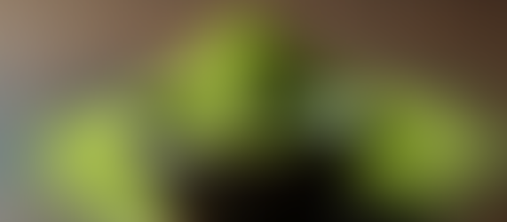 Unveiling the Benefits of a 2-in-1 Scrub Mask with Matcha, Honey, Sugar, and Yogurt