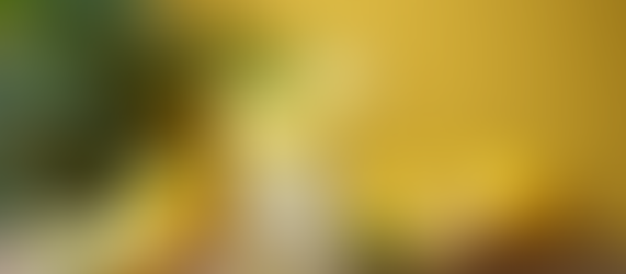 Mastering the Cleanse Tone Treat Method for Effective Wellness