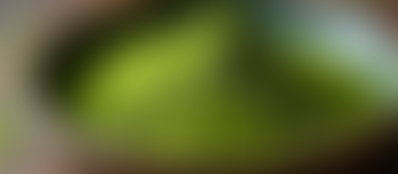 Revitalize Your Skin with a Matcha Honey and Clay Mask for Clogged Pores