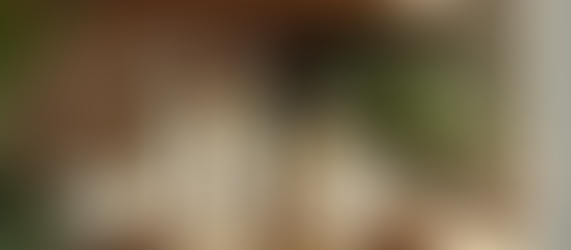 The Ultimate Guide to Ethical and Sustainable Beauty Shopping and Gifting