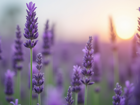 What to Consider When Using Essential Oils in Your Skincare Routine